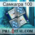 Самкагра 100 viagra5